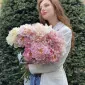 Scent.guide